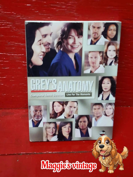 Grey's Anatomy: The Complete Tenth Season [DVD]  *BILINGUE DISC LIKE NEW*