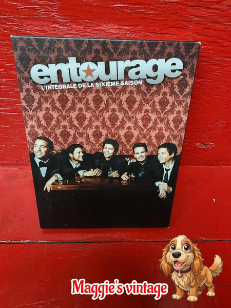 DVD - ENTOURAGE - THE COMPLETE SIXTH SEASON - SEASON 6 - DISC COMME NEUF