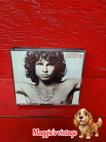 The Doors : The Best of  * DISC LIKE NEW*