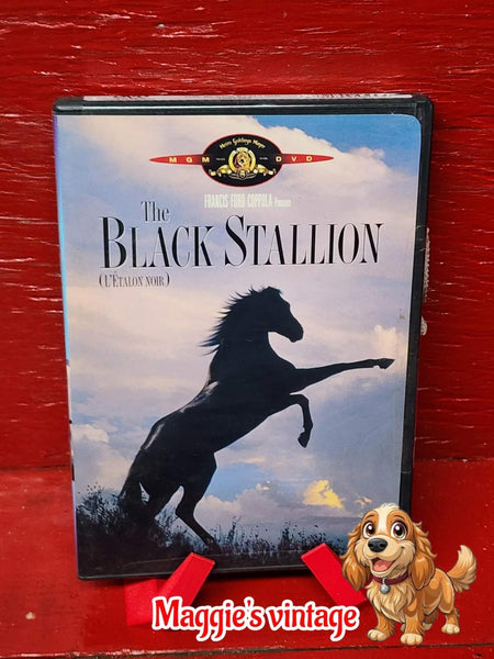 The Black Stallion DVD.  1979 Francis Ford Coppola Film. *BILINGUE DISC LIKE NEW