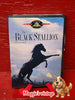 The Black Stallion DVD.  1979 Francis Ford Coppola Film. *BILINGUE DISC LIKE NEW